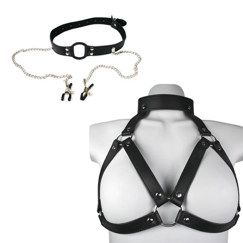 Harness with Gag and Clamps