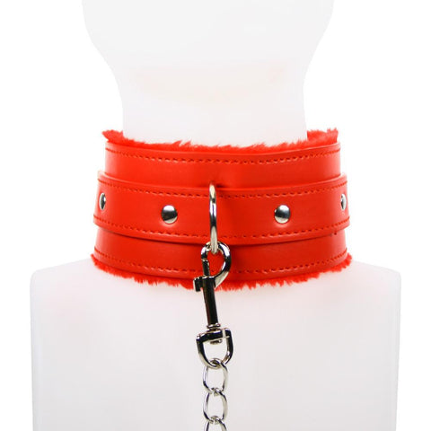 Red Collar and Leash